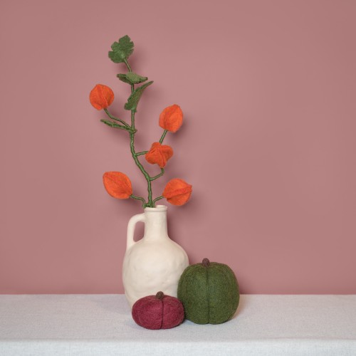 smv: tak - Physalis lampion - Afbeelding 3
