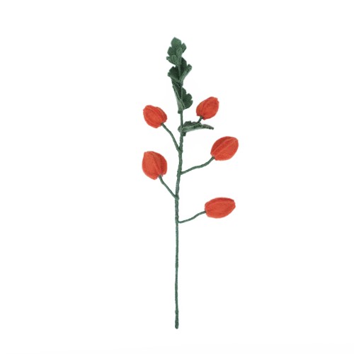 smv: tak - Physalis lampion - Afbeelding 2