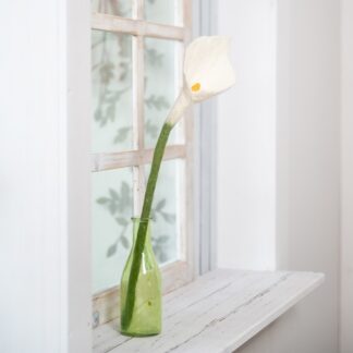 smv: Calla