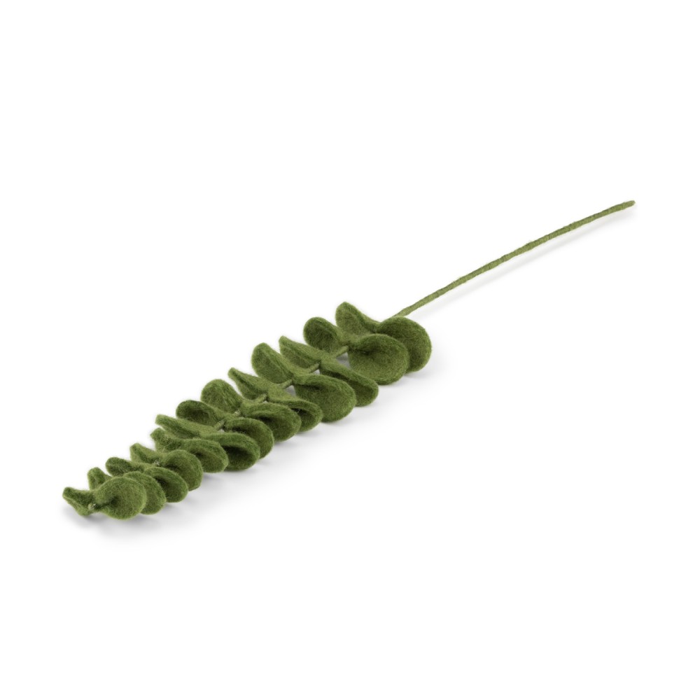 smv: tak - eucalyptus - Afbeelding 4